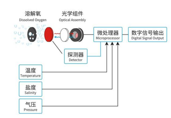 在線(xiàn)熒光法溶氧傳感器工作原理